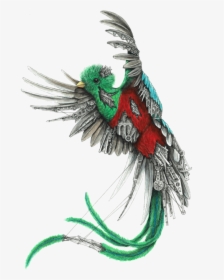 Quetzal Art, HD Png Download, Free Download