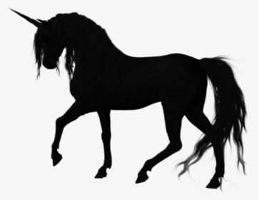 Silhouette American Quarter Horse Stallion Vector Graphics - Vector Image Of Horse, HD Png Download, Free Download