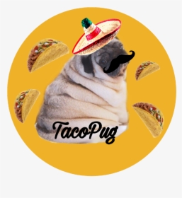 #tacopug#taco#pug🌮 - Drugs Say Yes To Tacos, HD Png Download, Free Download