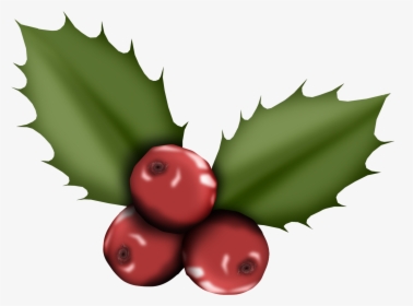 Muérdago Cschristmaustimeholly - Christmas Day, HD Png Download, Free Download