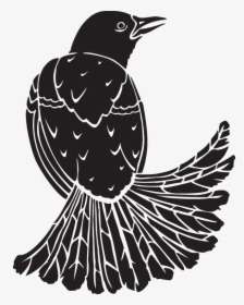 Quail Decal - Illustration, HD Png Download, Free Download