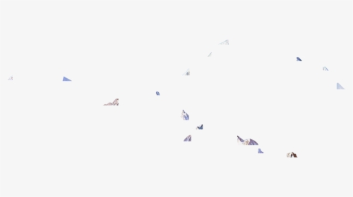 Flock, HD Png Download, Free Download