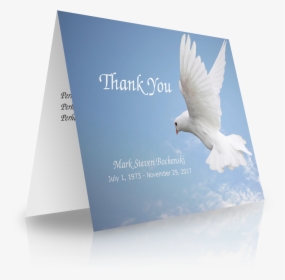 Gull, HD Png Download, Free Download