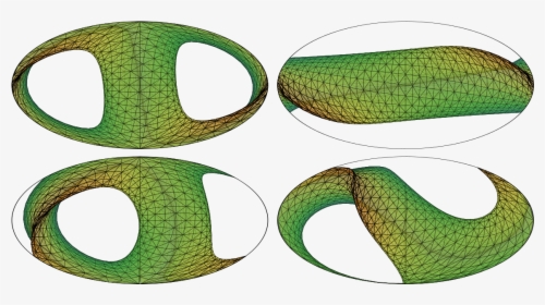 Hammer Projection - Snake, HD Png Download, Free Download