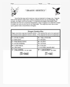 Dragon Genetics One Of The First Steps Used To Study - Dragon Clip Art, HD Png Download, Free Download