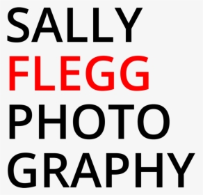 Sally Flegg Photography - Circle, HD Png Download, Free Download