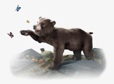 Brown Bear Polar Bear American Black Bear Elder Scrolls - Png Cub Bear, Transparent Png, Free Download