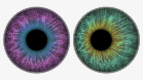 Circle, HD Png Download, Free Download