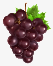 Grapes Clipart Png, Transparent Png, Free Download