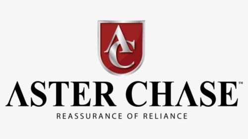 Aster Chase-01, HD Png Download, Free Download