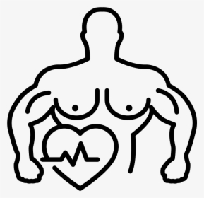 Transparent Muscular Clipart - Hypertrophy Clipart, HD Png Download, Free Download