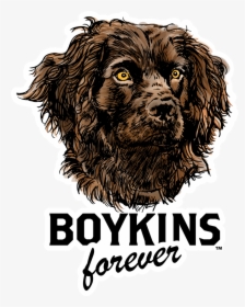Cocker Spaniel, HD Png Download, Free Download