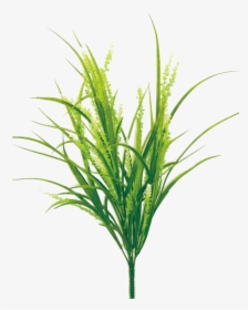 Plastic Rice Grass Bush - Sweet Grass, HD Png Download, Free Download