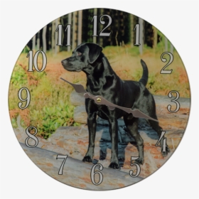 C1027 Black Lab Glass Clock 13"x 13" - Full Size Black Labrador, HD Png Download, Free Download