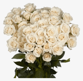 Send White Spray Roses - Floribunda, HD Png Download, Free Download