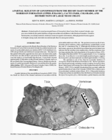 Igneous Rock, HD Png Download, Free Download