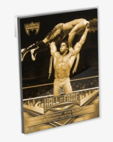 2018 Topps Wwe Oversized Complete Hall Of Fame Tribute - Picture Frame, HD Png Download, Free Download