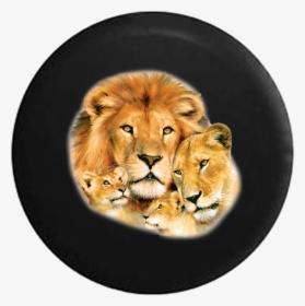 Pride Of Lions Family, HD Png Download, Free Download