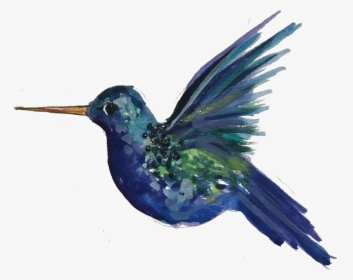 Hummingbird, HD Png Download, Free Download