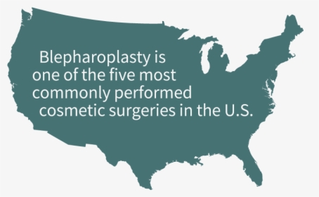 "blepharoplasty Is One Of The Five Most Commonly Performed - United States Map Grey, HD Png Download, Free Download