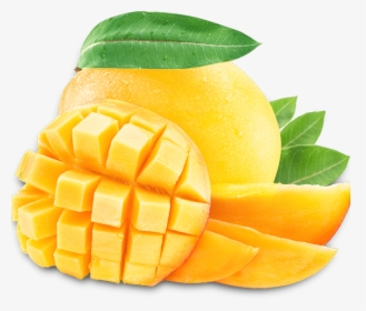 Mango Fruits, HD Png Download, Free Download