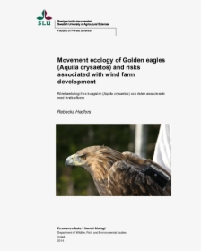 Golden Eagle , Png Download - Swedish University Of Agricultural Sciences, Transparent Png, Free Download