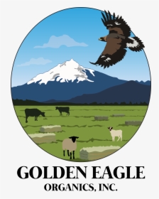 Golden Eagle Organics - Illustration, HD Png Download, Free Download