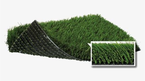 Artificial Turf Png Transparent - Synthetic Turf, Png Download, Free Download