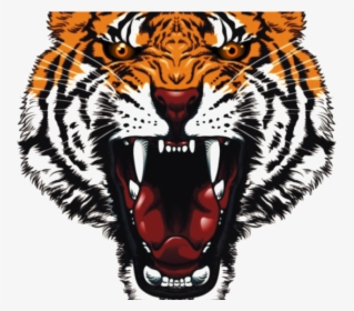 Angry Tiger Face Png, Transparent Png, Free Download