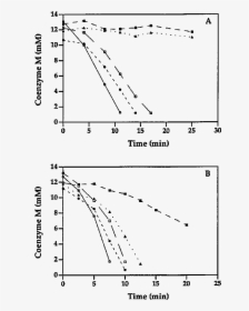 Kaplan Meier Survival Curve Nejm, HD Png Download, Free Download