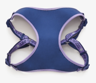 Daisy Lig Dog Harness - Brassiere, HD Png Download, Free Download
