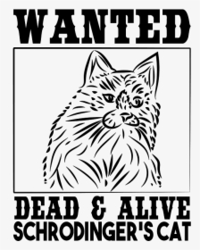 Wanted, HD Png Download, Free Download
