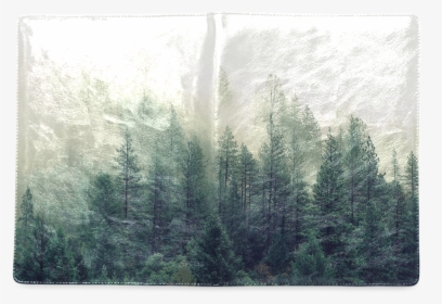 Calming Green Nature Forest Scene Misty Foggy Custom - Fir, HD Png Download, Free Download
