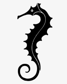 Seahorse Silhouette Png - Black Seahorse Silhouette Transparent, Png Download, Free Download