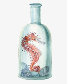Hand Painted Seahorse Png Transparent In The Bottle - Cavalo Marinho A Aguarela, Png Download, Free Download