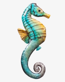 Northern Seahorse, HD Png Download, Free Download