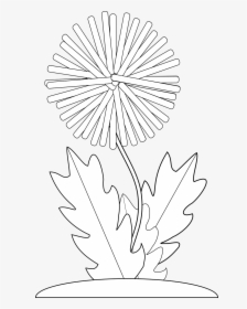 Black And White Crayon Dandelion Flower Free Photo - Vector Graphics, HD Png Download, Free Download