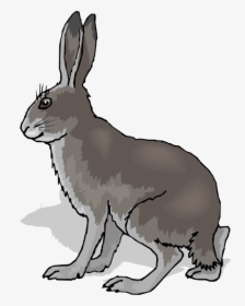 Free Rabbit Clipart - Coney Animal, HD Png Download, Free Download