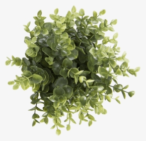 Office - Grass, HD Png Download, Free Download