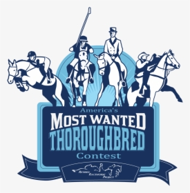 America"s Most Wanted Thoroughbred Contest Launched - Thoroughbred, HD Png Download, Free Download