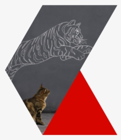 Tabby Cat , Png Download - Tabby Cat, Transparent Png, Free Download
