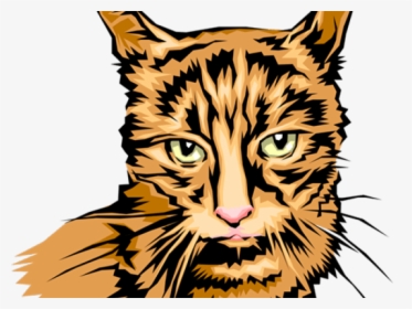 Tabby Cat Clipart Cat Head - Tabby Cat, HD Png Download, Free Download