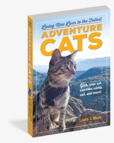 Cover - Adventure Cat Book, HD Png Download, Free Download