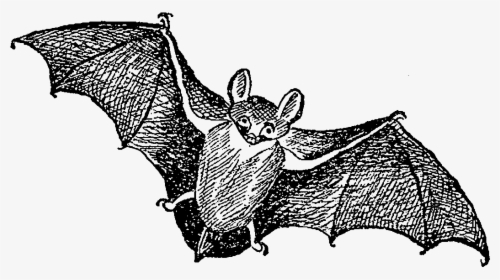 Digital Stamp Design Vintage Halloween Digital Clip - Flying Bat Vintage Art, HD Png Download, Free Download