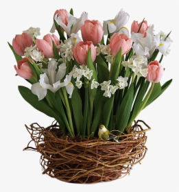 Happy Birthday Tulip Bouquet, HD Png Download, Free Download