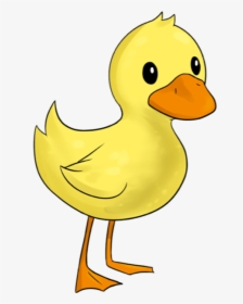 Duck Clipart Transparent Background, HD Png Download, Free Download