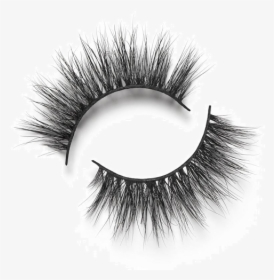 Lilly Lashes Miami Light, HD Png Download, Free Download