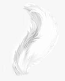 #white #cattail - Darkness, HD Png Download, Free Download