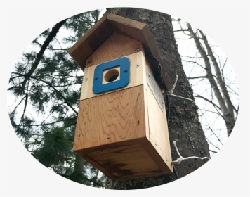 A Birdhouse Colonised By Blue Tits On The Edge Of The - Outhouse, HD Png Download, Free Download