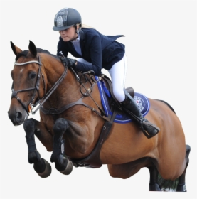 Image Is Not Available - Show Jumping Horses Png, Transparent Png, Free Download